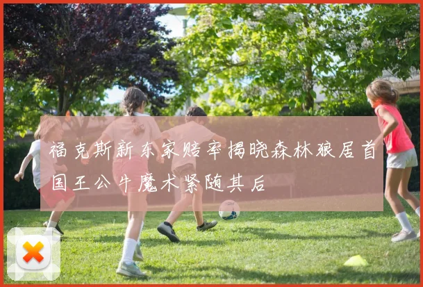 福克斯新东家赔率揭晓森林狼居首国王公牛魔术紧随其后