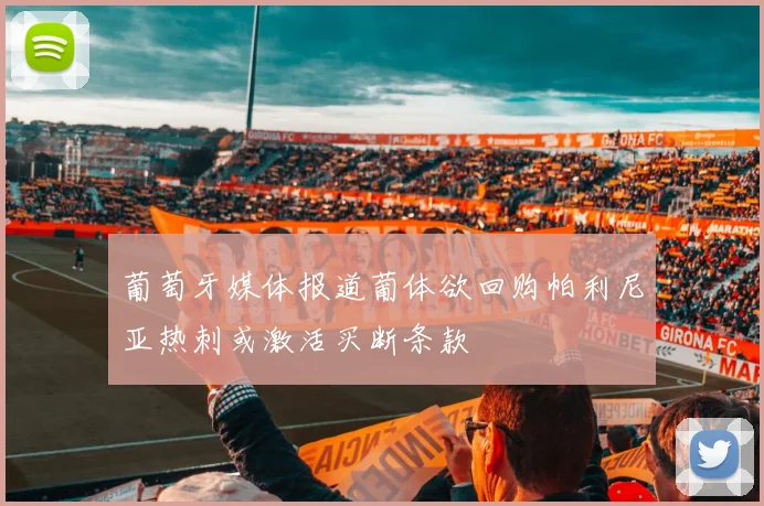 葡萄牙媒体报道葡体欲回购帕利尼亚热刺或激活买断条款