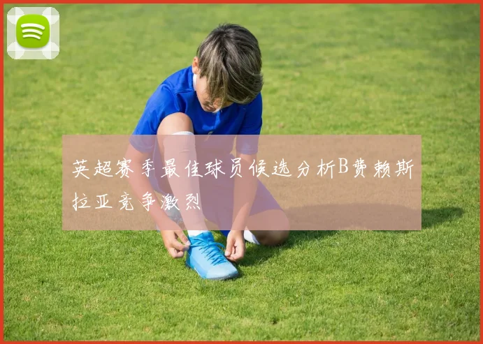 英超赛季最佳球员候选分析B费赖斯拉亚竞争激烈