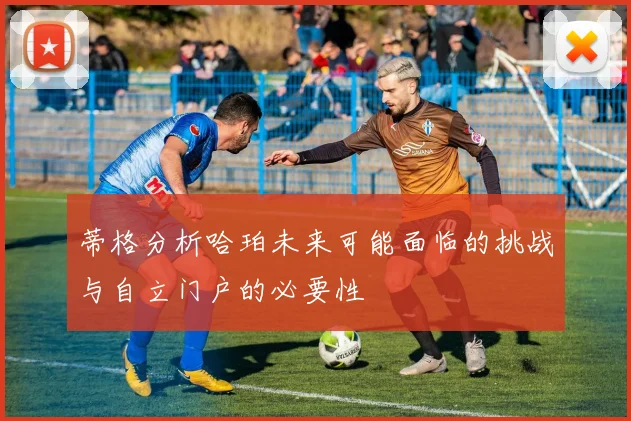 蒂格分析哈珀未来可能面临的挑战与自立门户的必要性